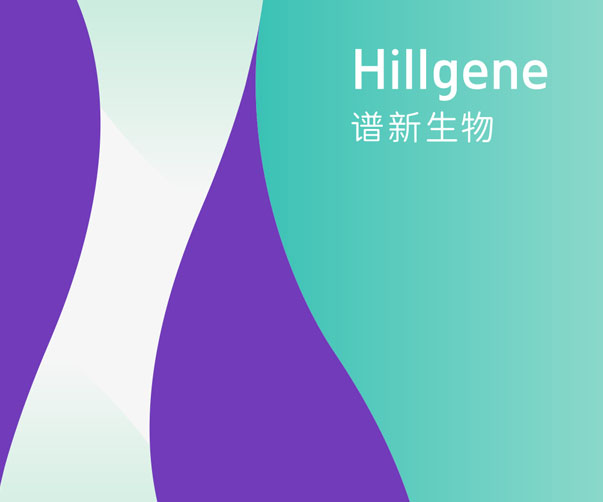 VI設計手冊如何指導企業(yè)在汽車行業(yè)中建立專業(yè)和創(chuàng)新的品牌形象？